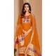 Orange__Royal Rajgharana Sarees